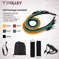 11-in-1 Portable Resistance Bands Set - Full Body Workout Kit